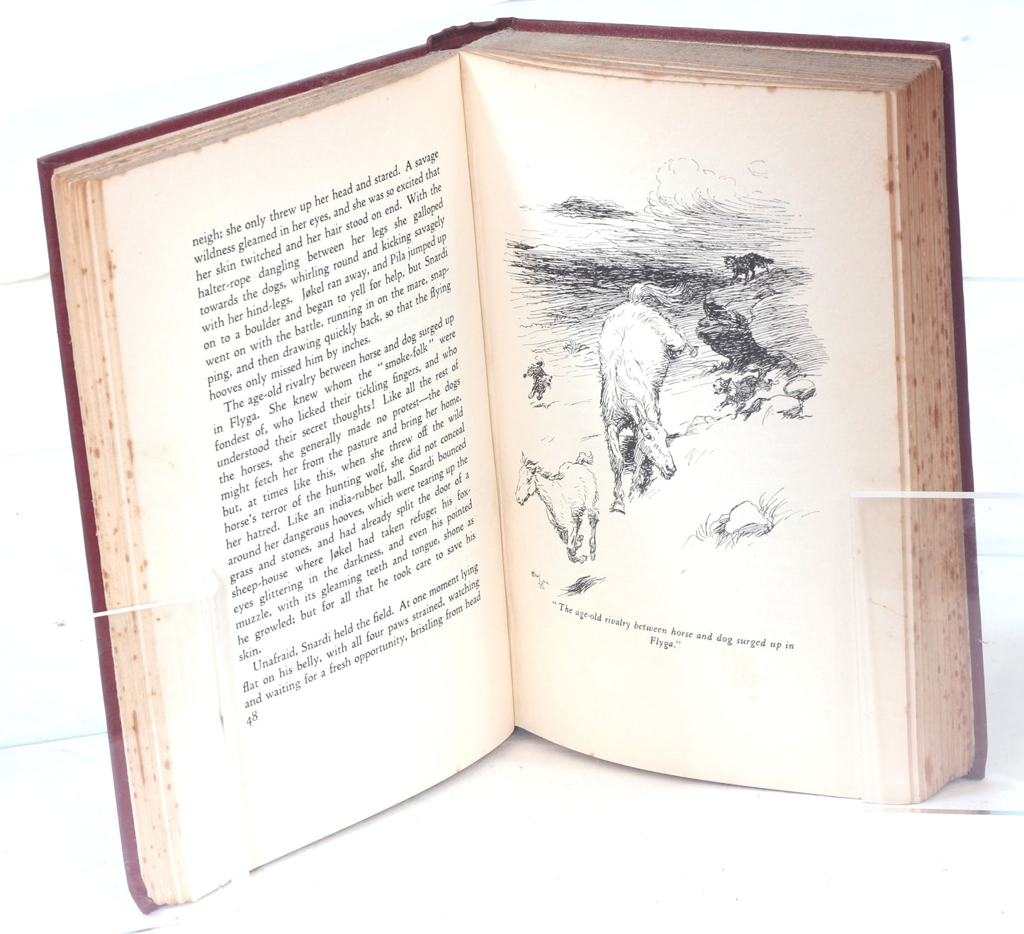 The Wild Horses of Iceland by Fleuron, illus. Cecil Aldin 1933