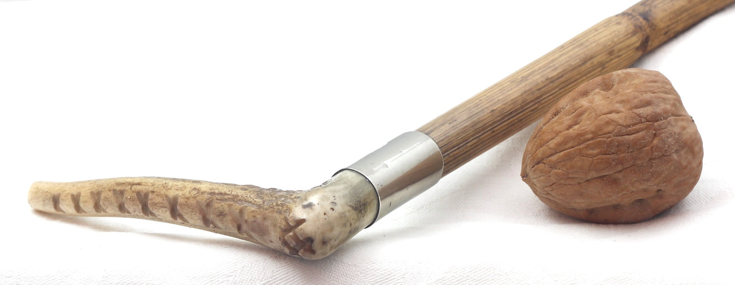 Small Cane Hunting Whip or Crop