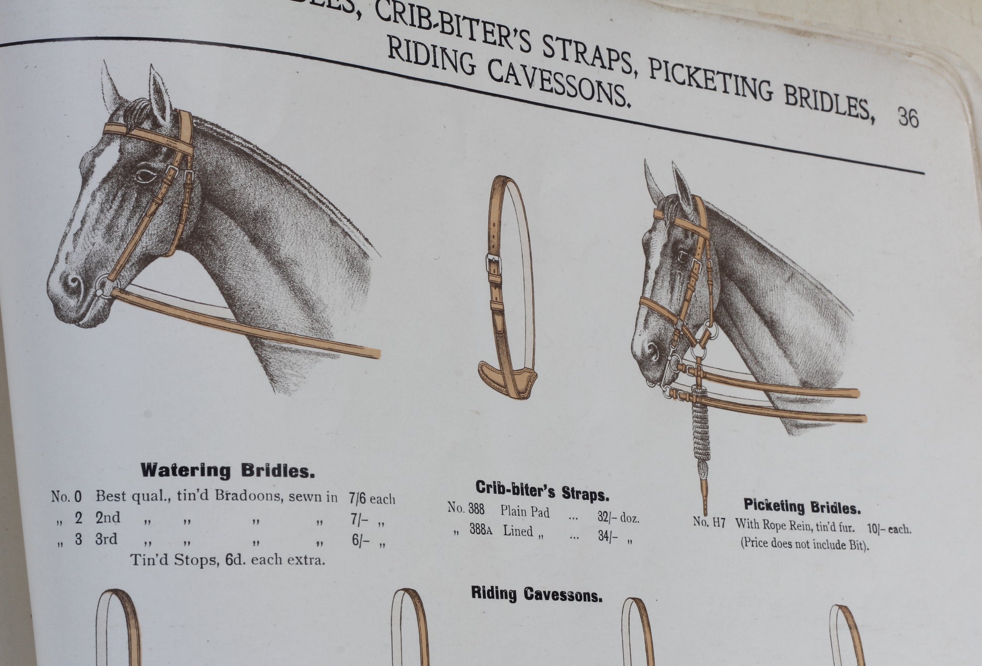 1906 Saddlery & Dog Collar Catalogue