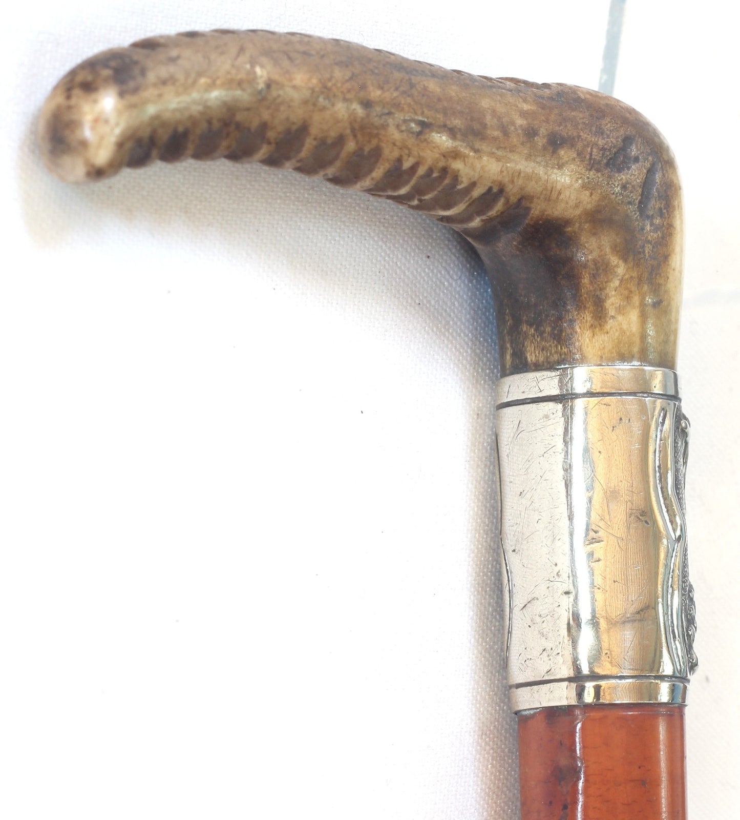 Antique Malacca Hunting Whip with Hound on Collar