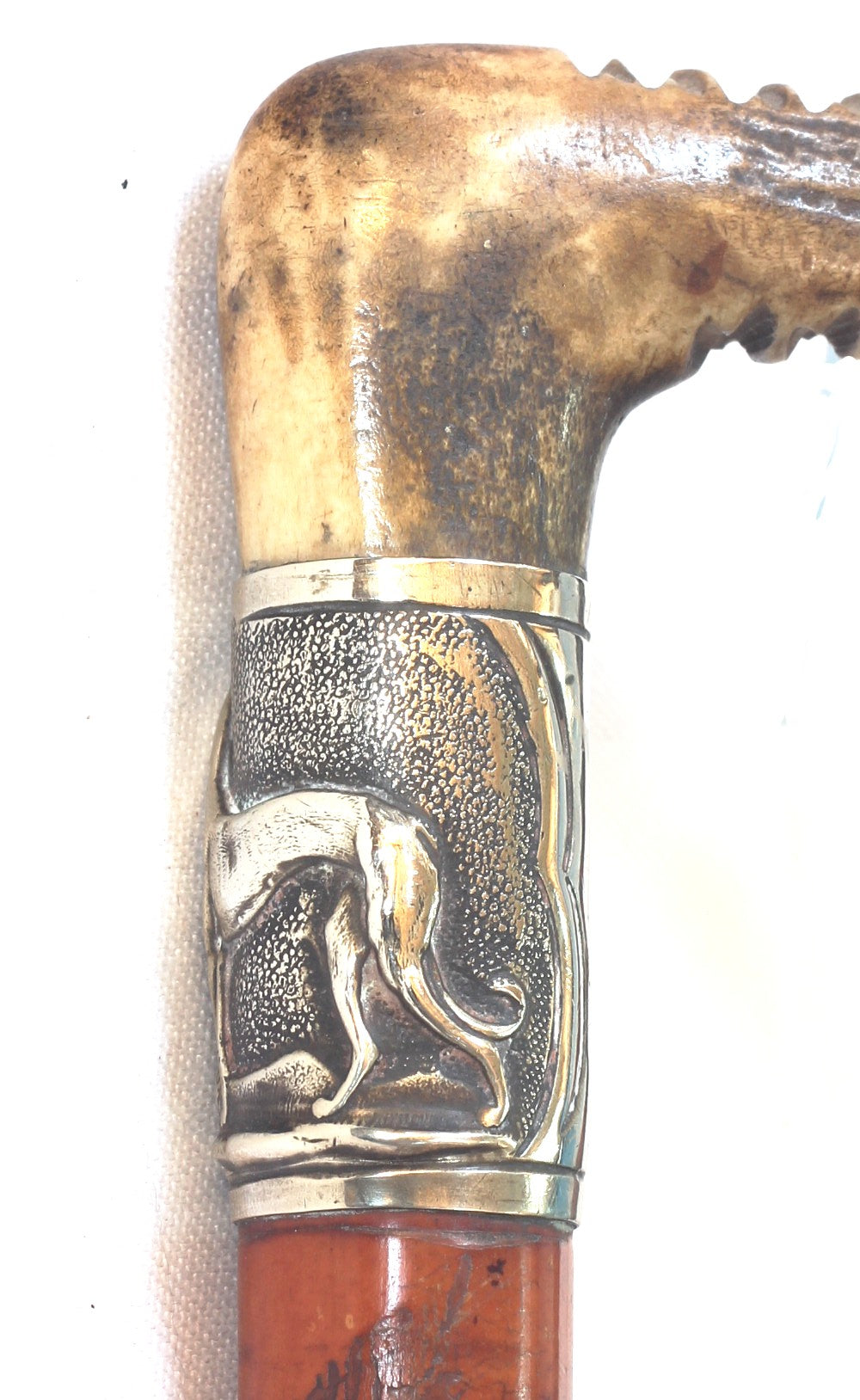 Antique Malacca Hunting Whip with Hound on Collar