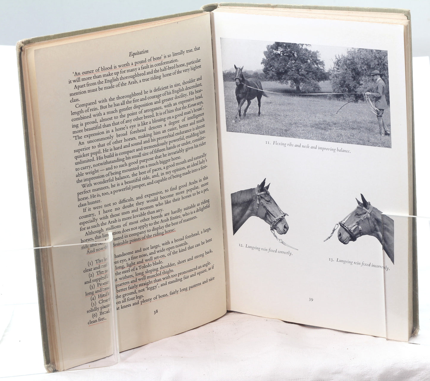 Equitation by Henry Wynmalen, 2nd Ed 1959