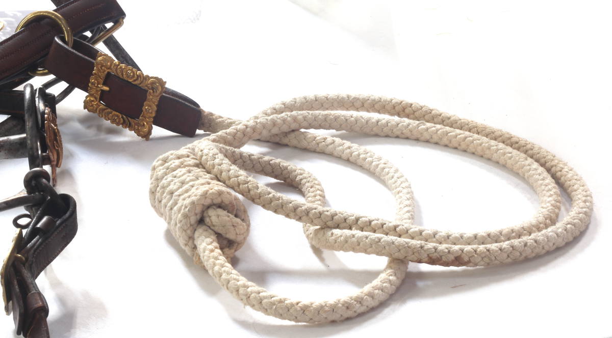Edwardian General's bridle