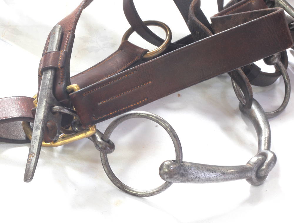 Edwardian General's bridle