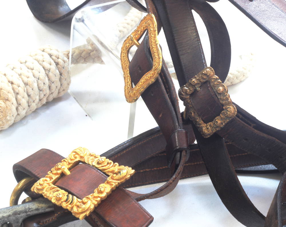 Edwardian General's bridle