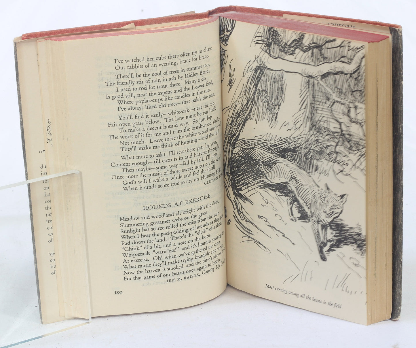 The Fox-Hunter's Bedside Book compiled by the Lady Apsley, Illus Lionel Edwards