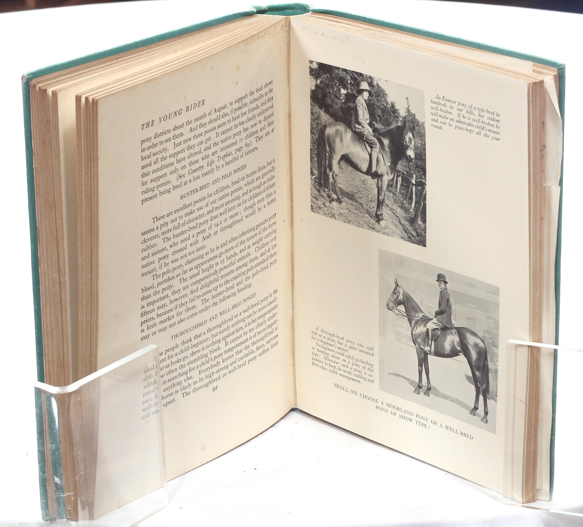 The Young Rider , Ponies for Health and Pleasure by Golden Gorse, 3rd Ed 1935