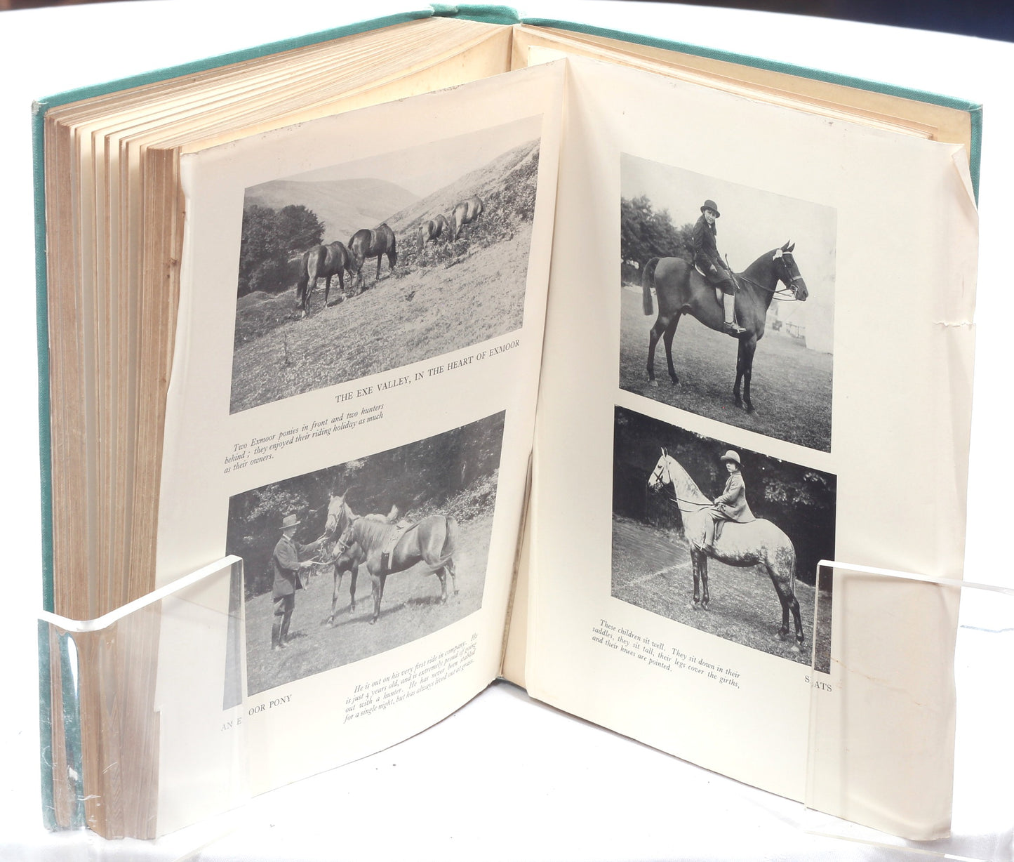 The Young Rider , Ponies for Health and Pleasure by Golden Gorse, 3rd Ed 1935