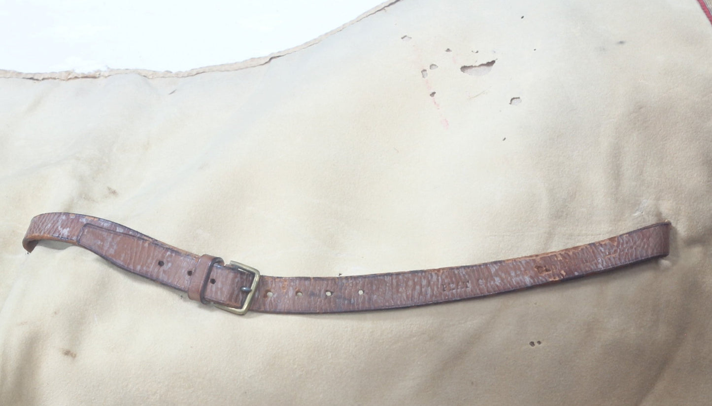 Victorian Cavalry Officer's Shabraque of Saddle Cloth