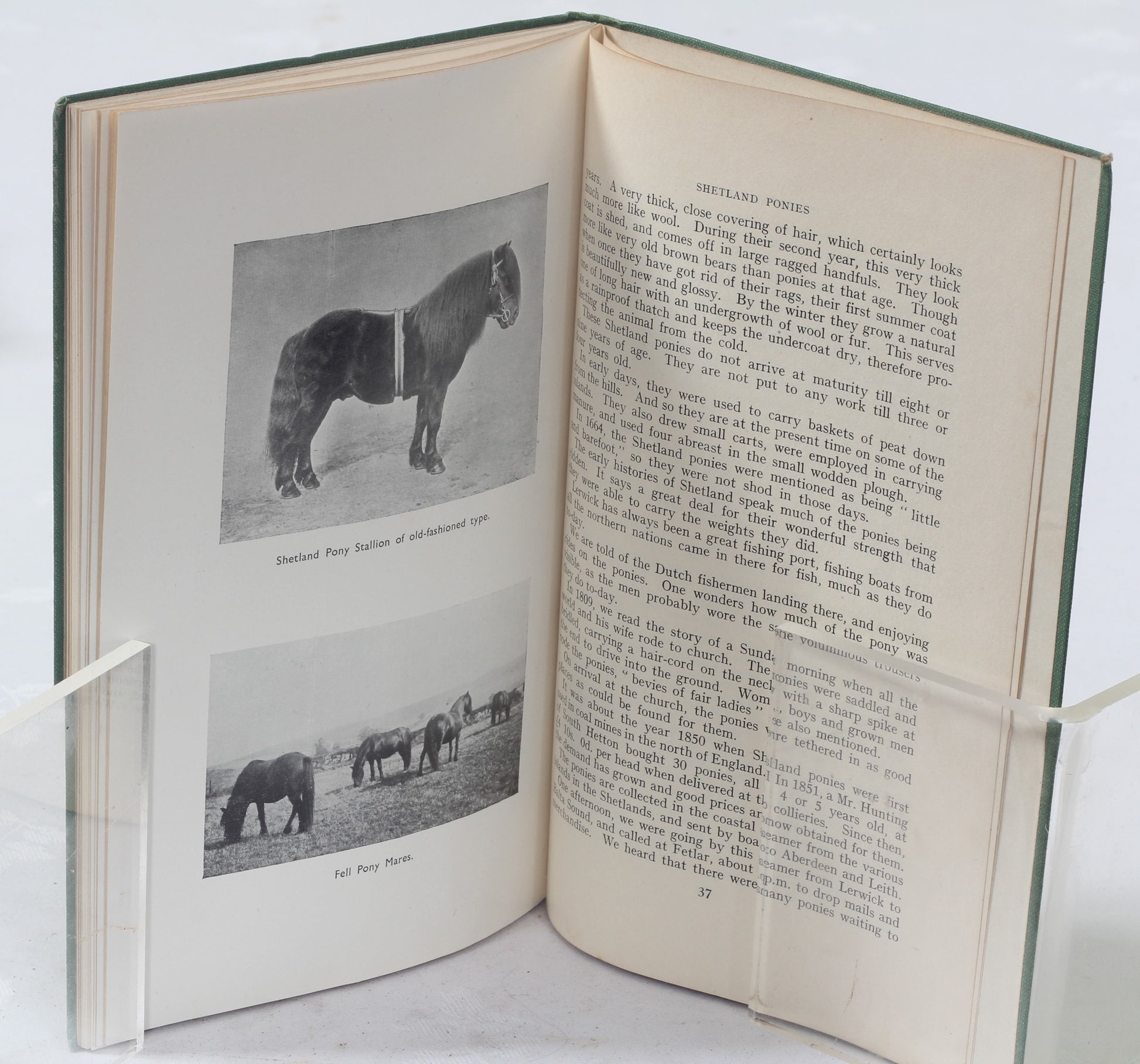 Mountain and Moorland Ponies of Great Britain issued by the National Pony Society