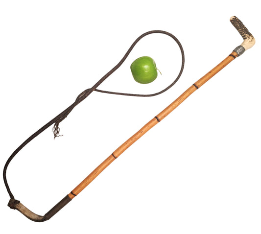 Antique hunting whip