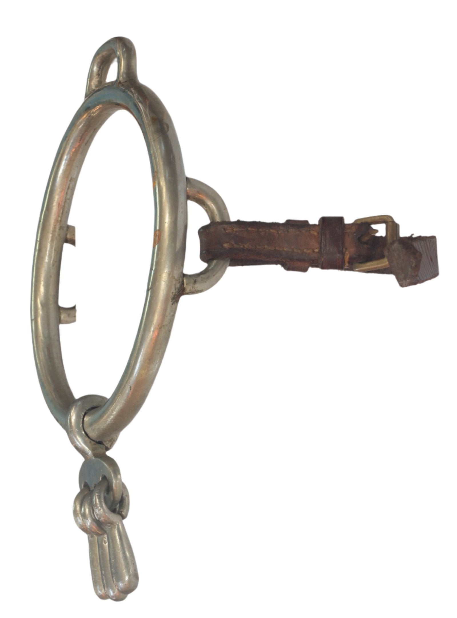 A  Tattersall ring bit