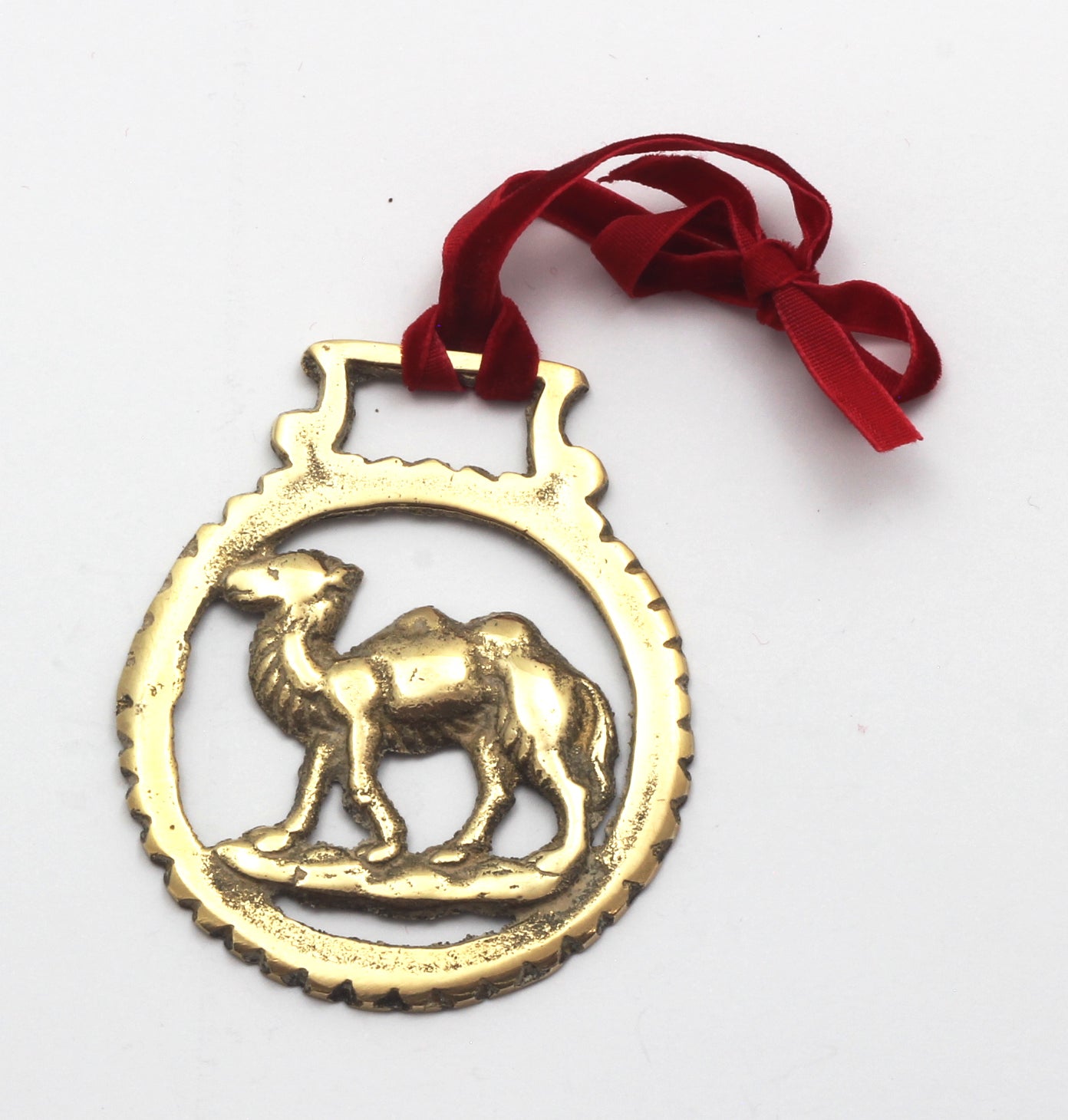 Camel Horse Brass