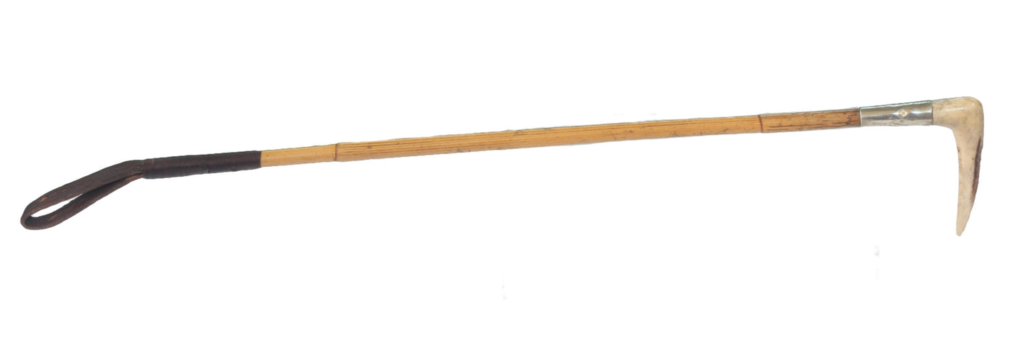 Child's Cane Hunting Whip or Crop