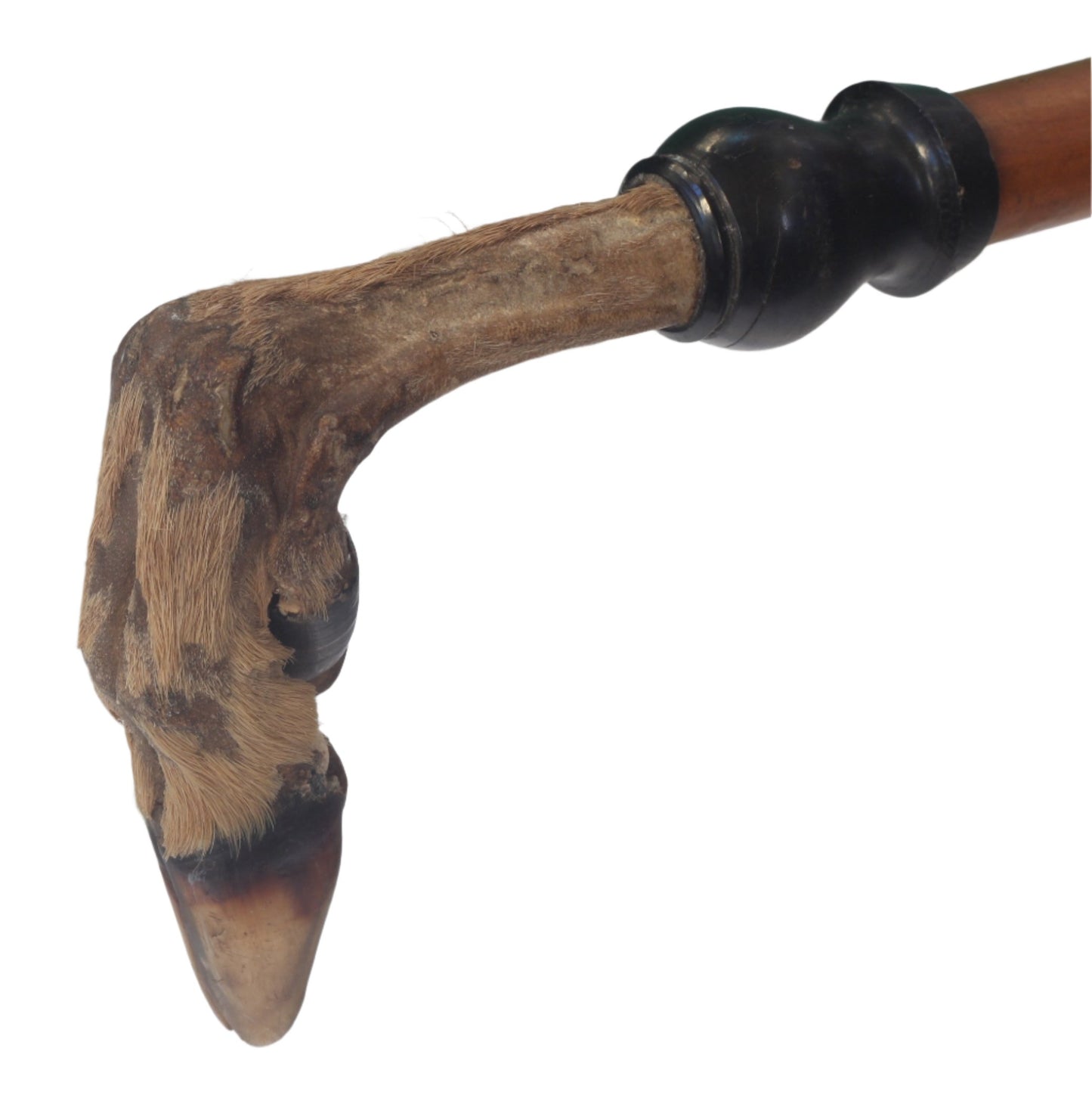 Deer Hoof Handled Riding Crop or Whip