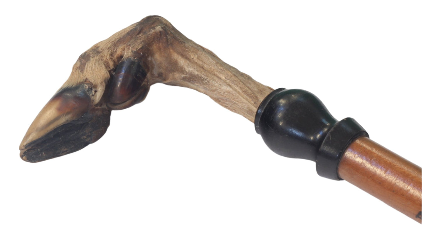 Deer Hoof Handled Riding Crop or Whip