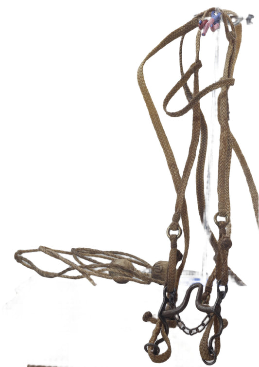 A Vintage Braided Rawhide Gaucho Bridle and Bolas or Boleadoras