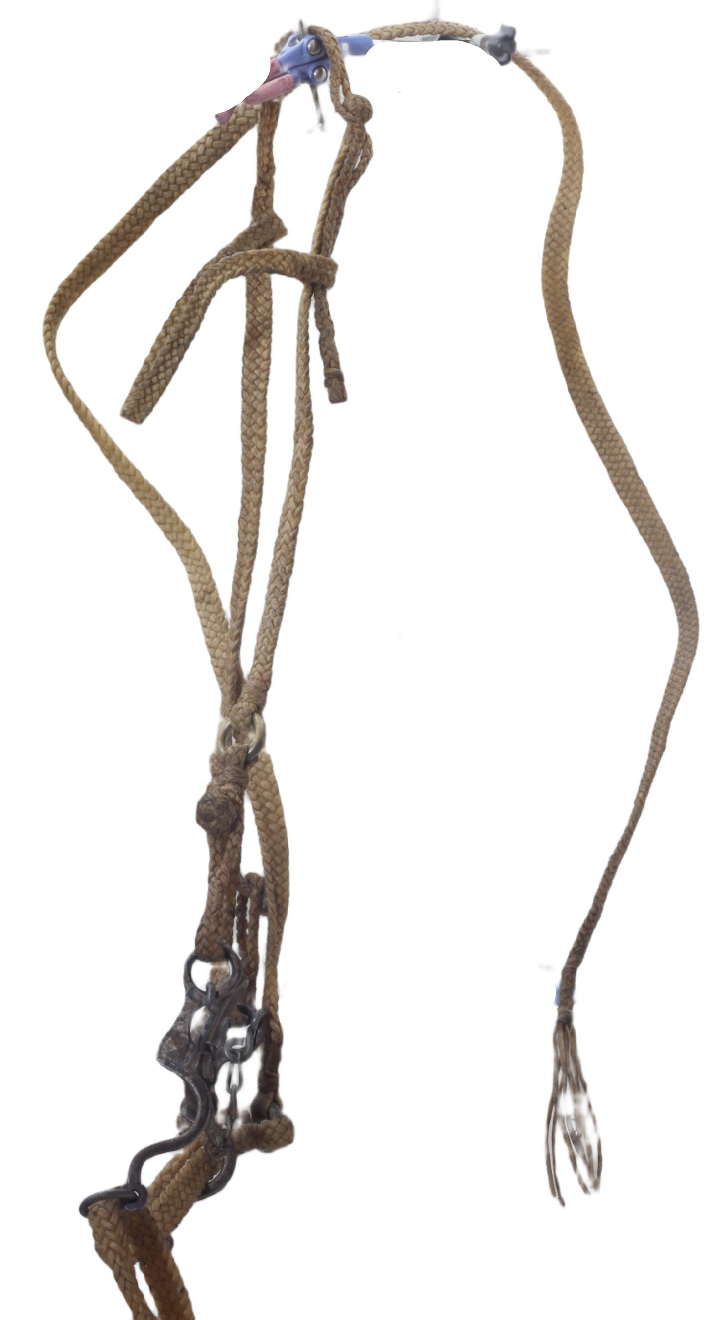 A Vintage Braided Rawhide Gaucho Bridle and Bolas or Boleadoras