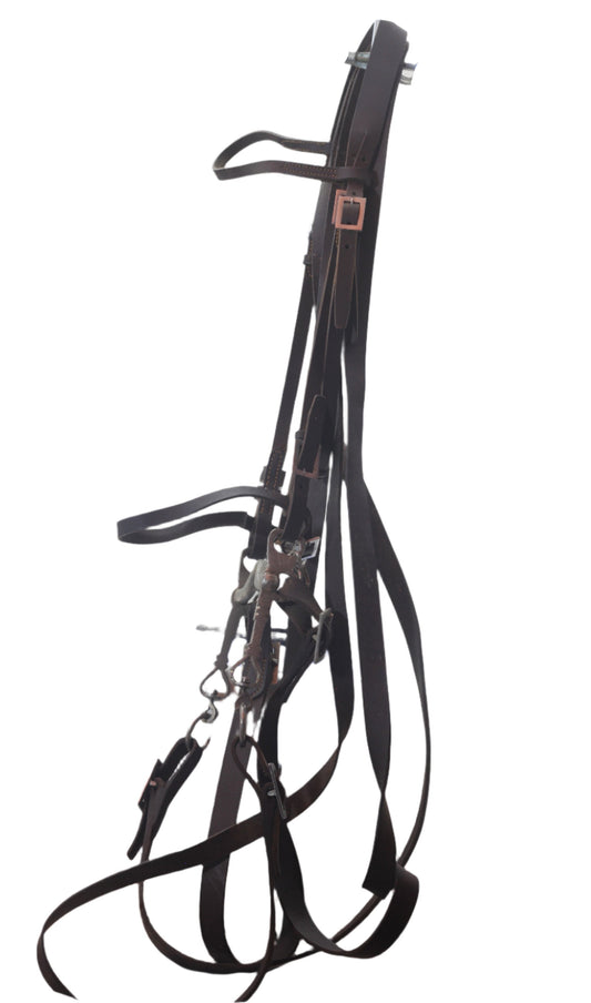 A Portuguese Bridle and Curb Bit