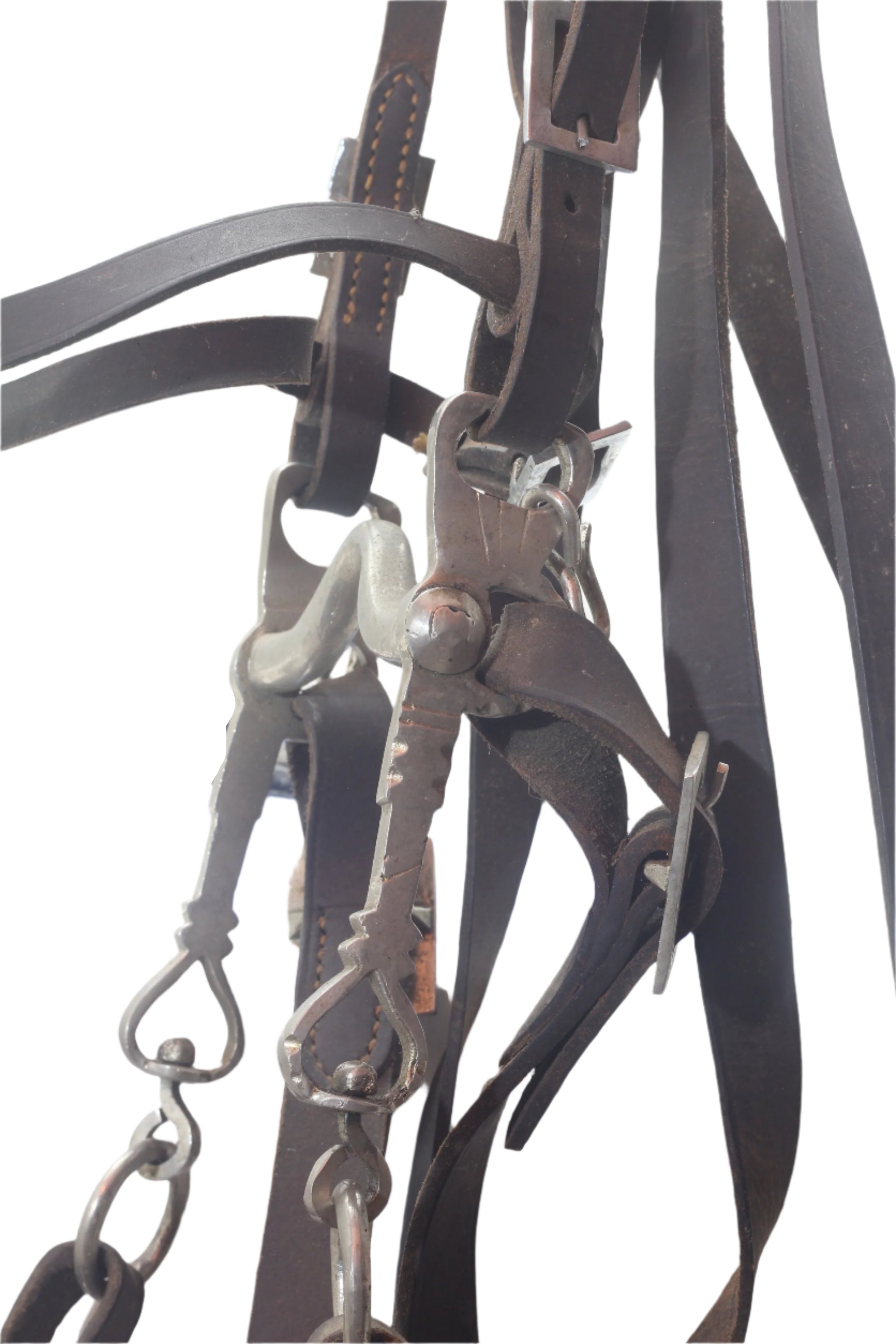 A Portuguese Bridle and Curb Bit