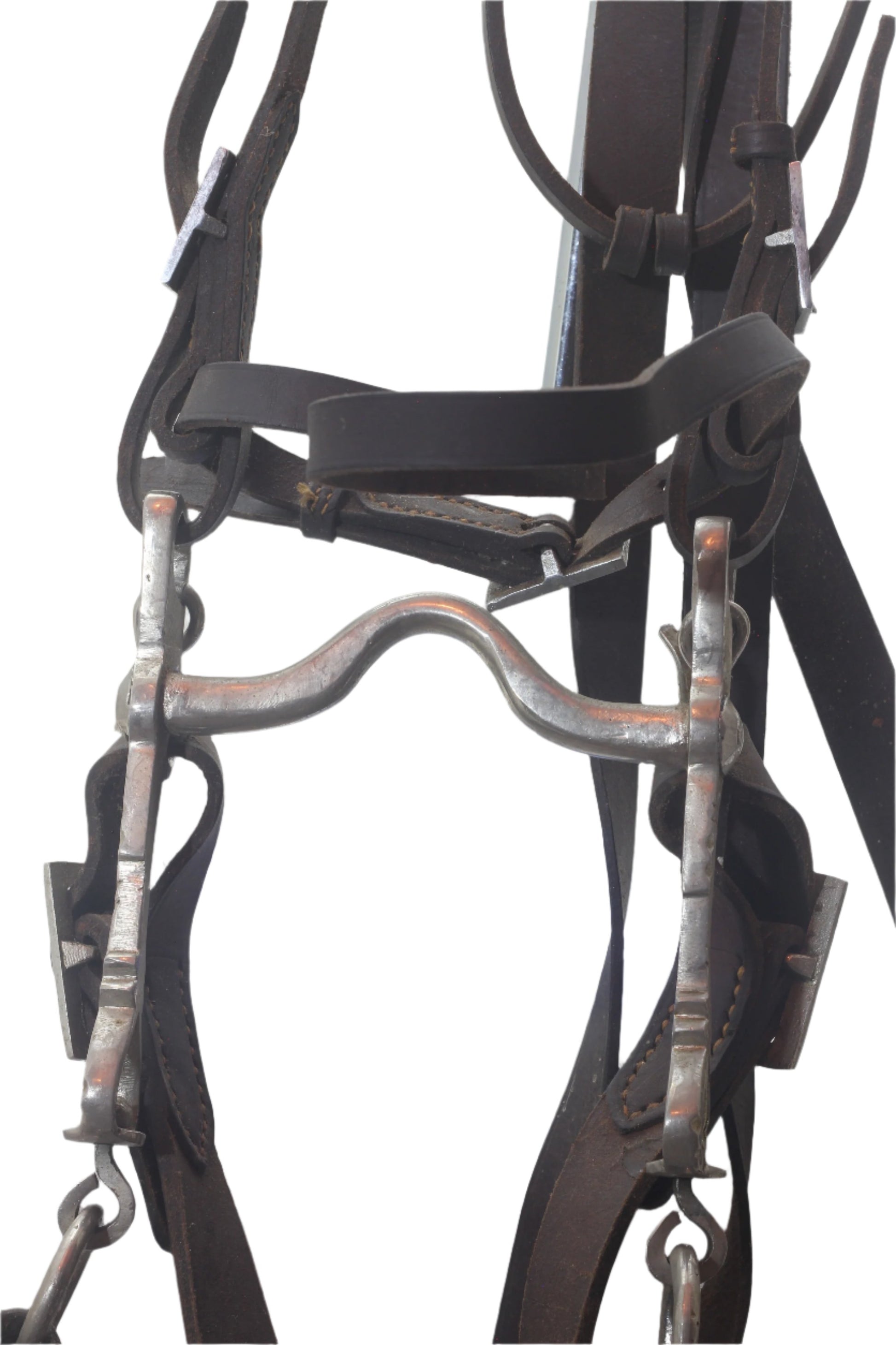 A Portuguese Bridle and Curb Bit