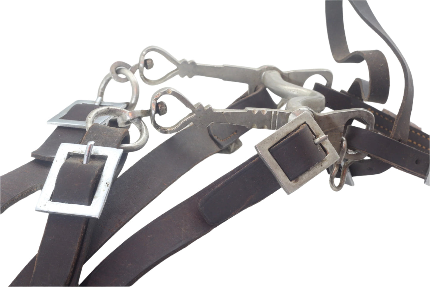 A Portuguese Bridle and Curb Bit