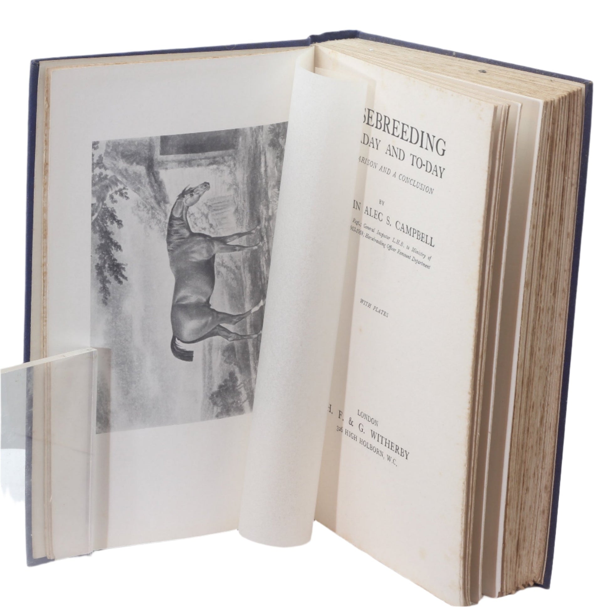 Horsebreeding Yesterday And To-Day: A Comparison And A Conclusion by Capt. Alec Campbell 1st Ed. 1931