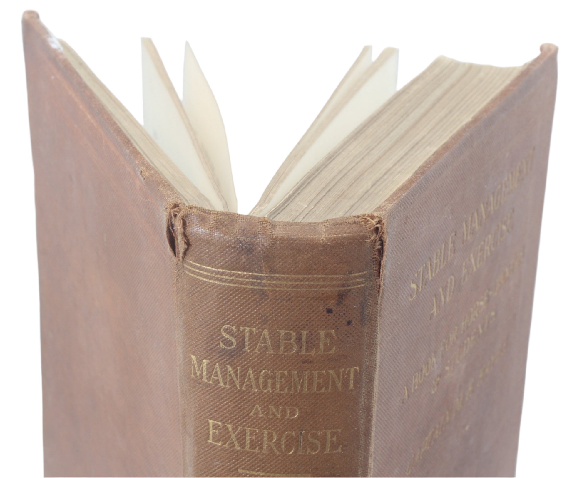 Stable Management and Exercise by Captain M.H.Hayes , 2nd Ed. 1909