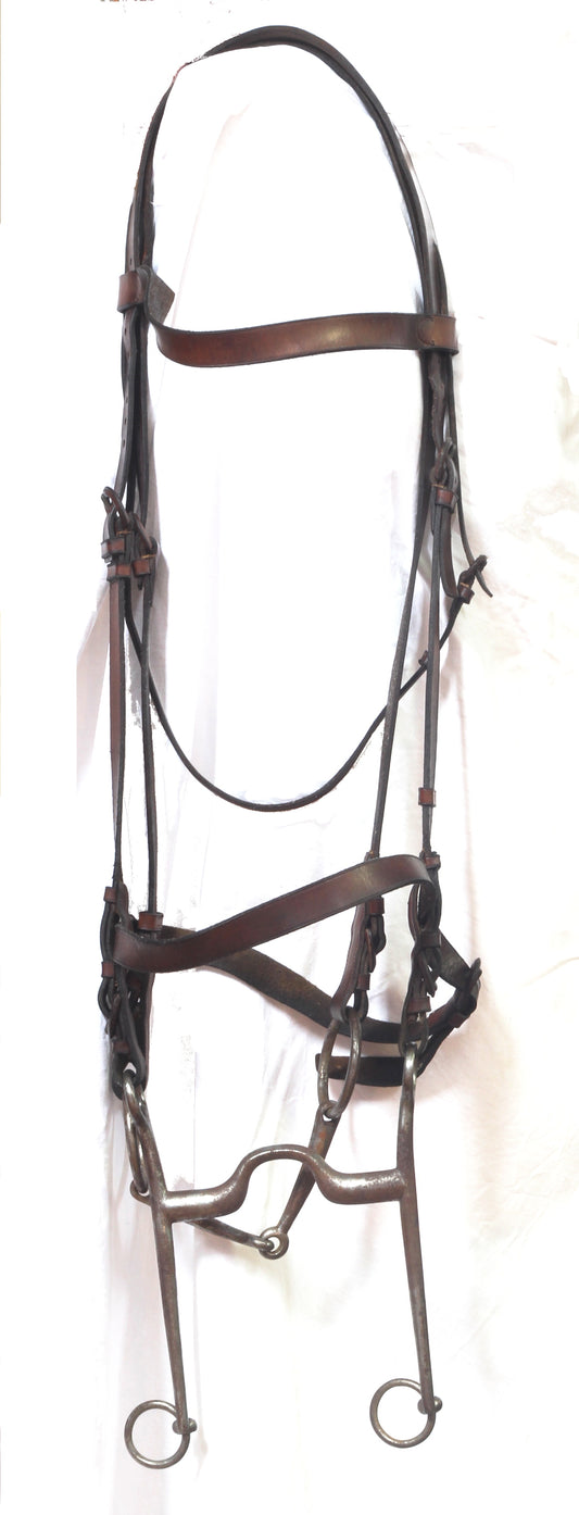 A 19th Century Double Bridle