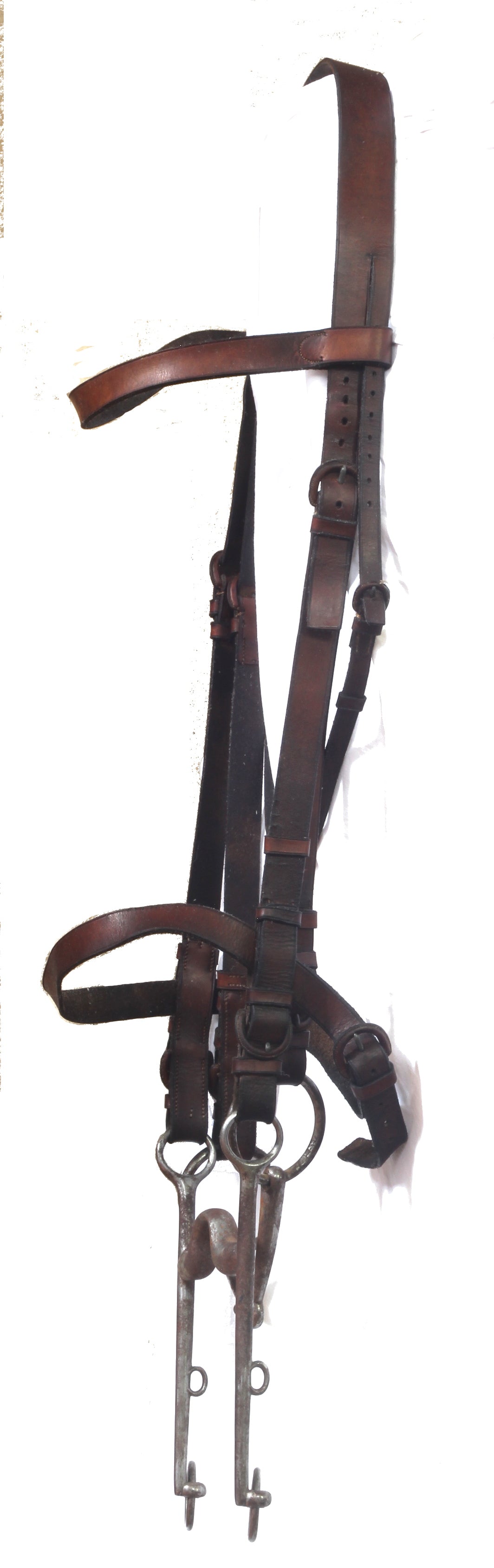 A 19th Century Double Bridle