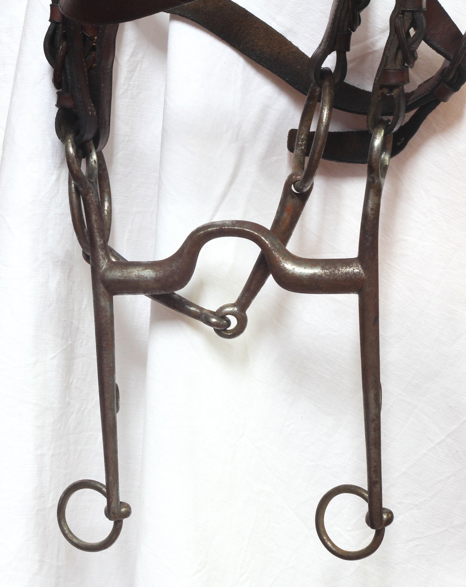 A 19th Century Double Bridle