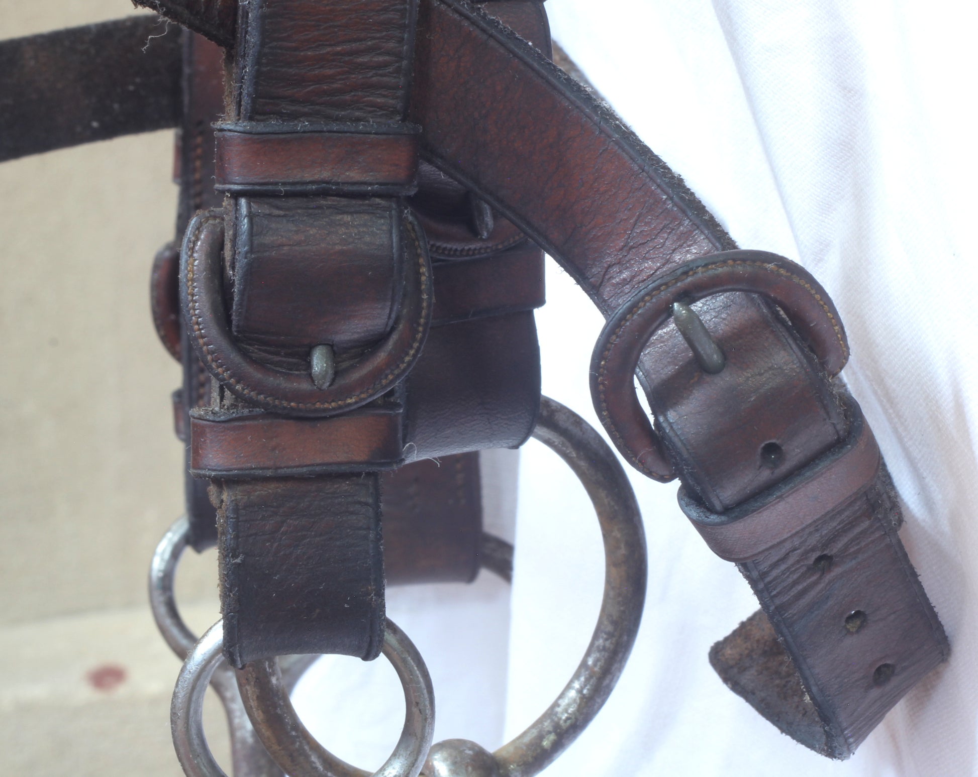 A 19th Century Double Bridle