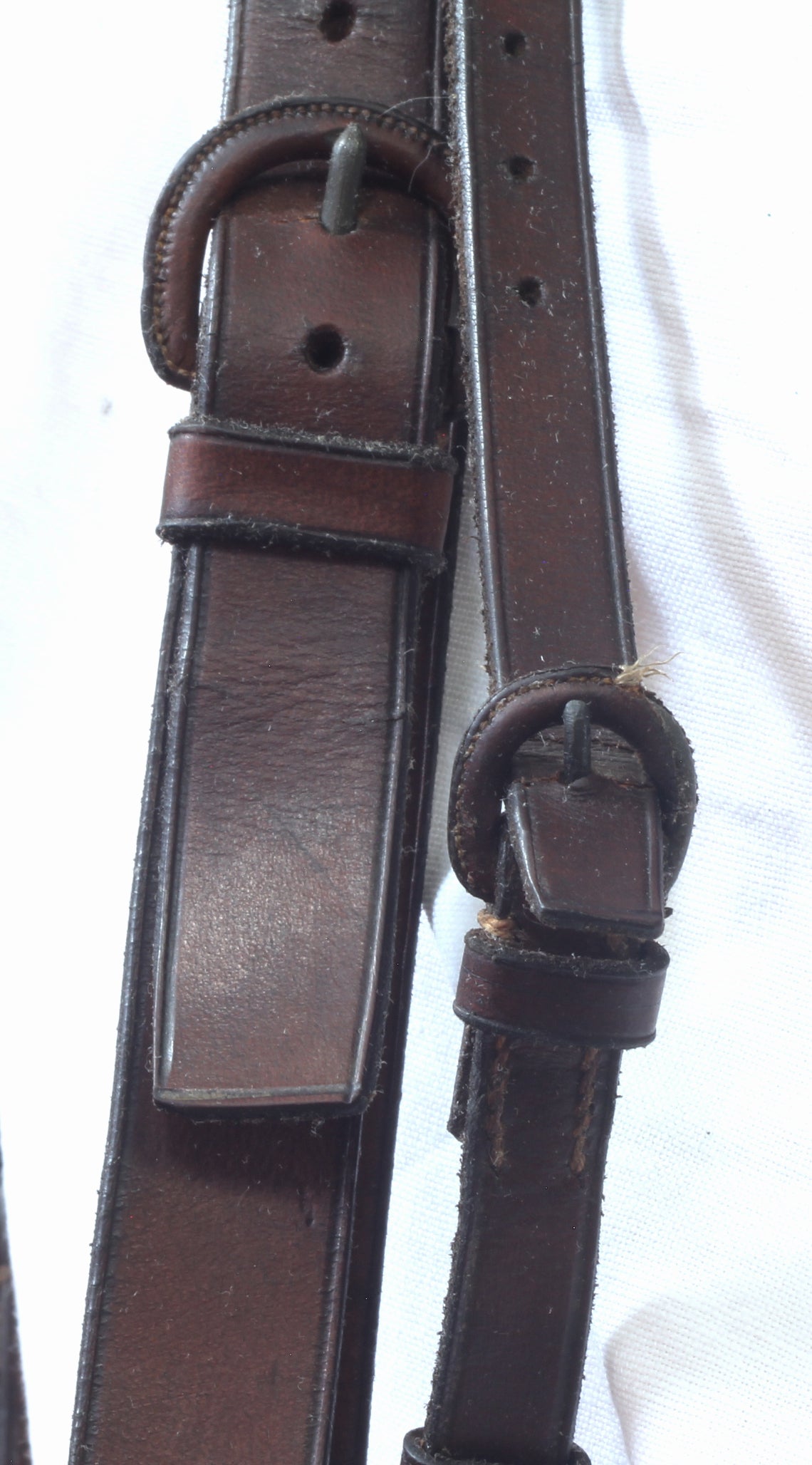 A 19th Century Double Bridle