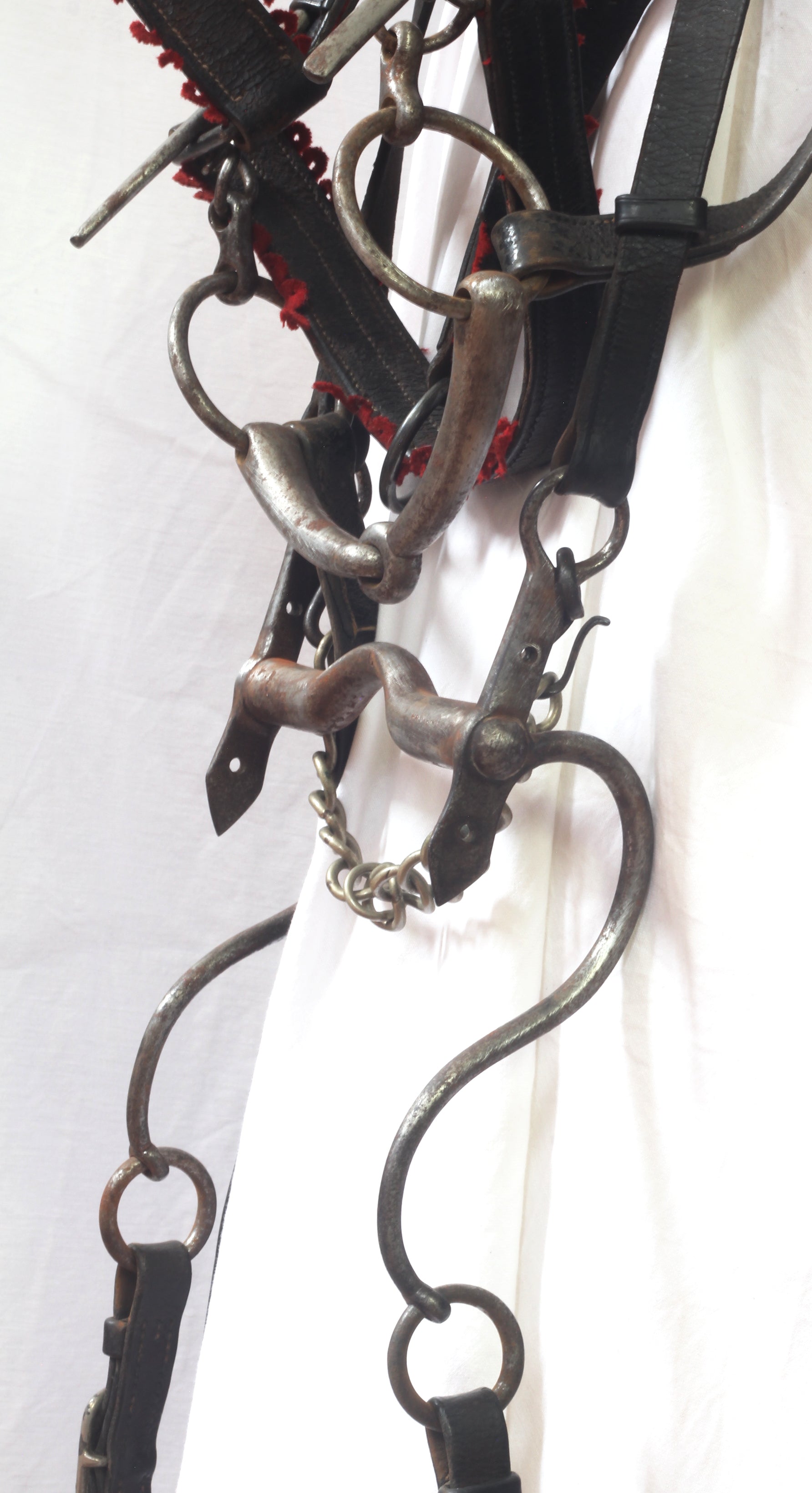 A Victorian King's Royal Rifle Corps Bridle