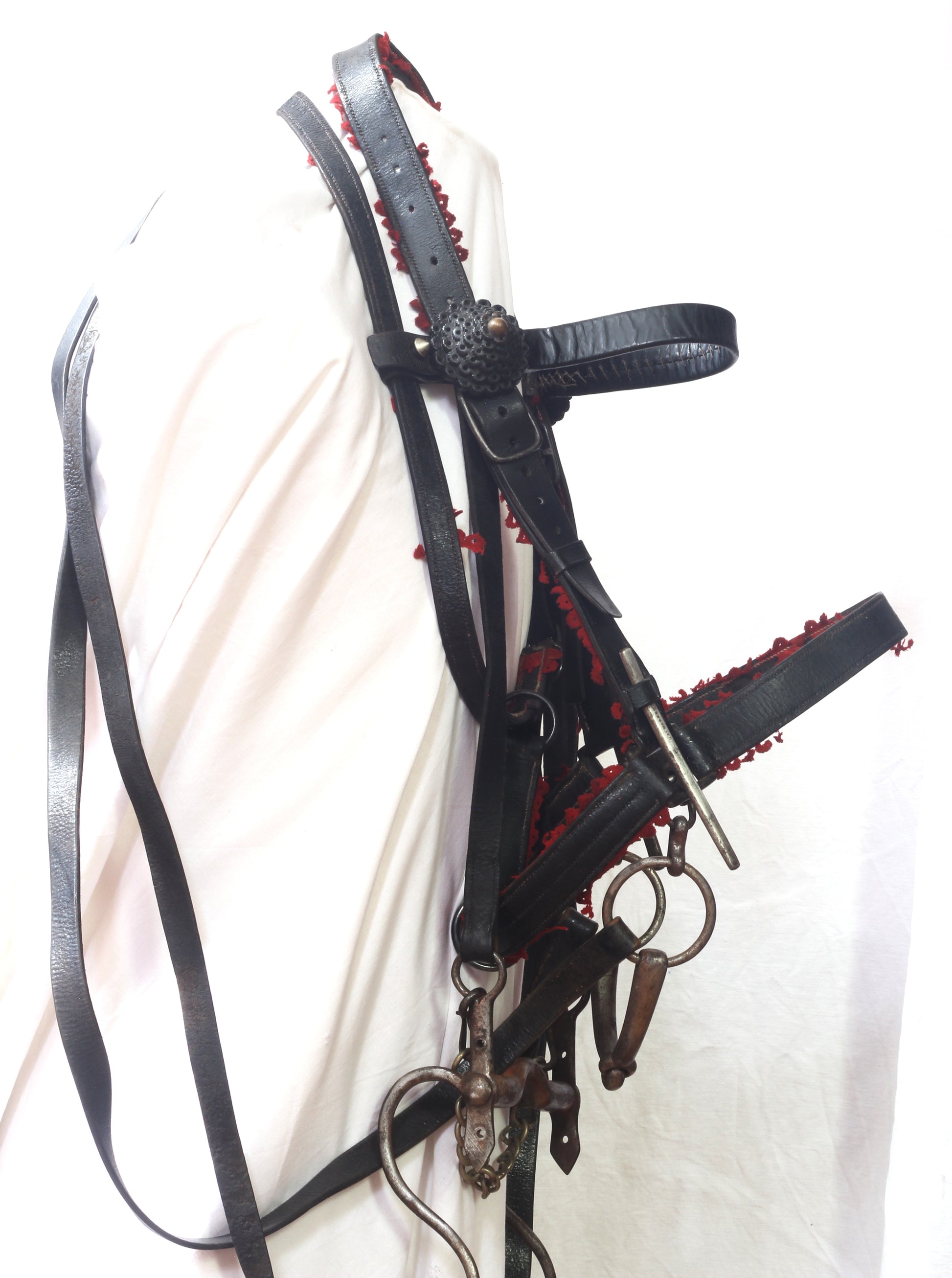 A Victorian King's Royal Rifle Corps Bridle