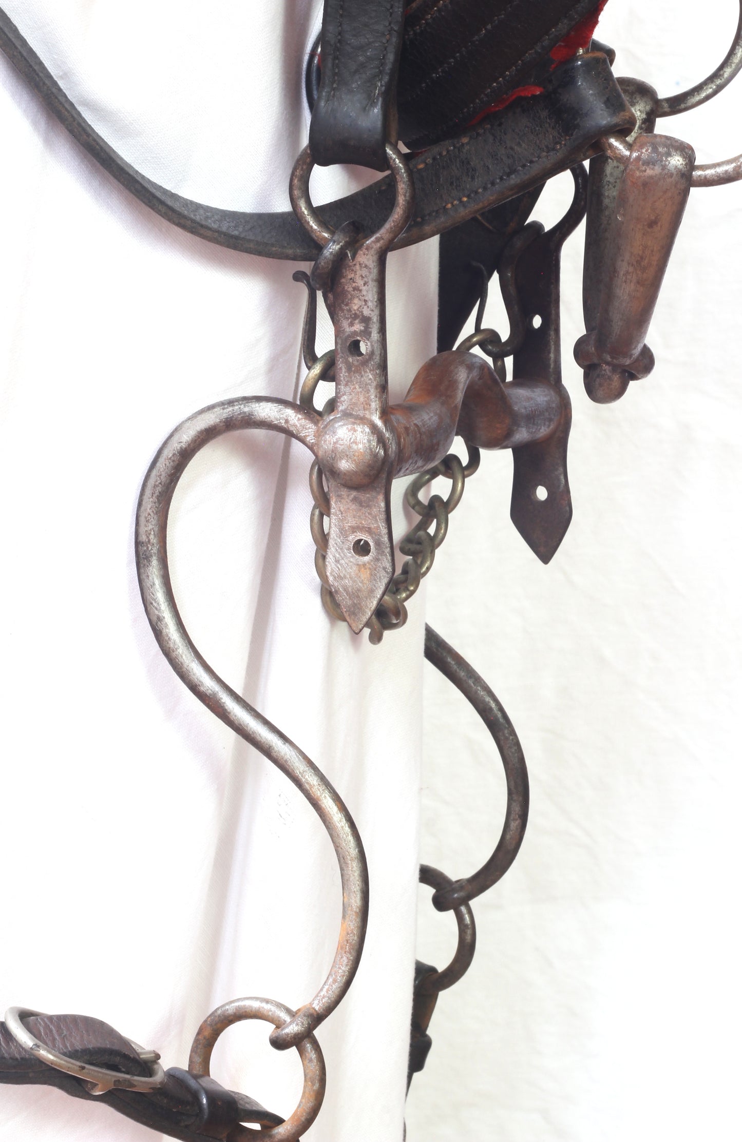 A Victorian King's Royal Rifle Corps Bridle