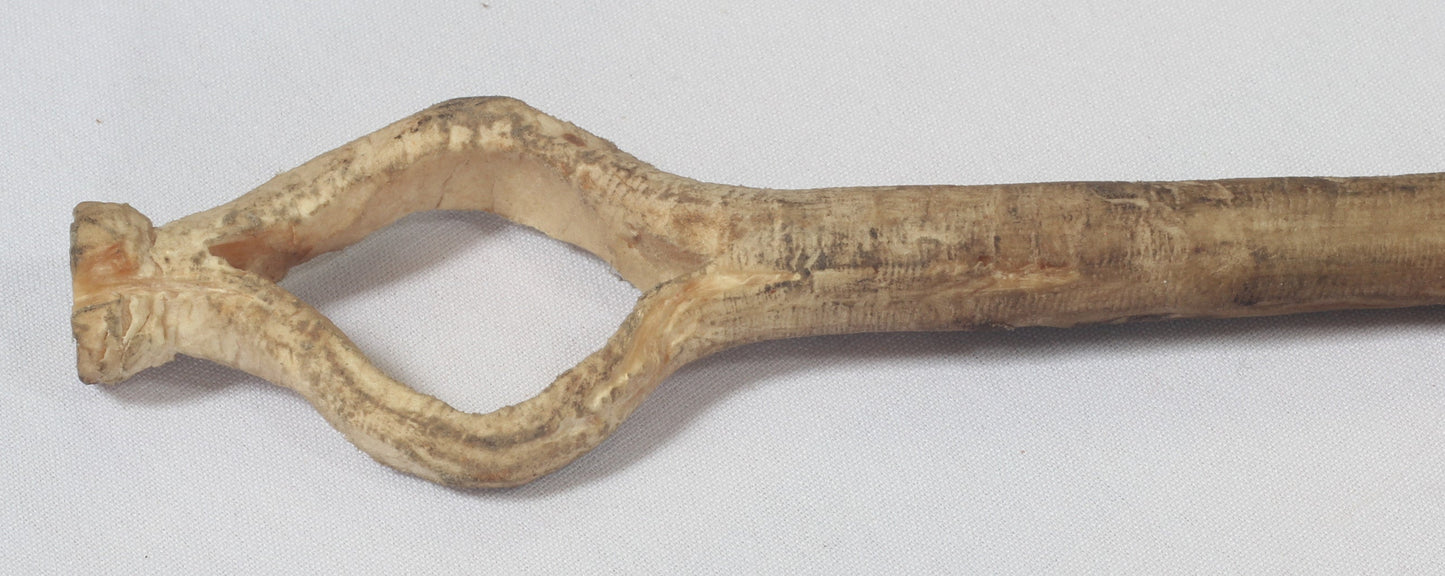 Vintage bull pizzle whip
