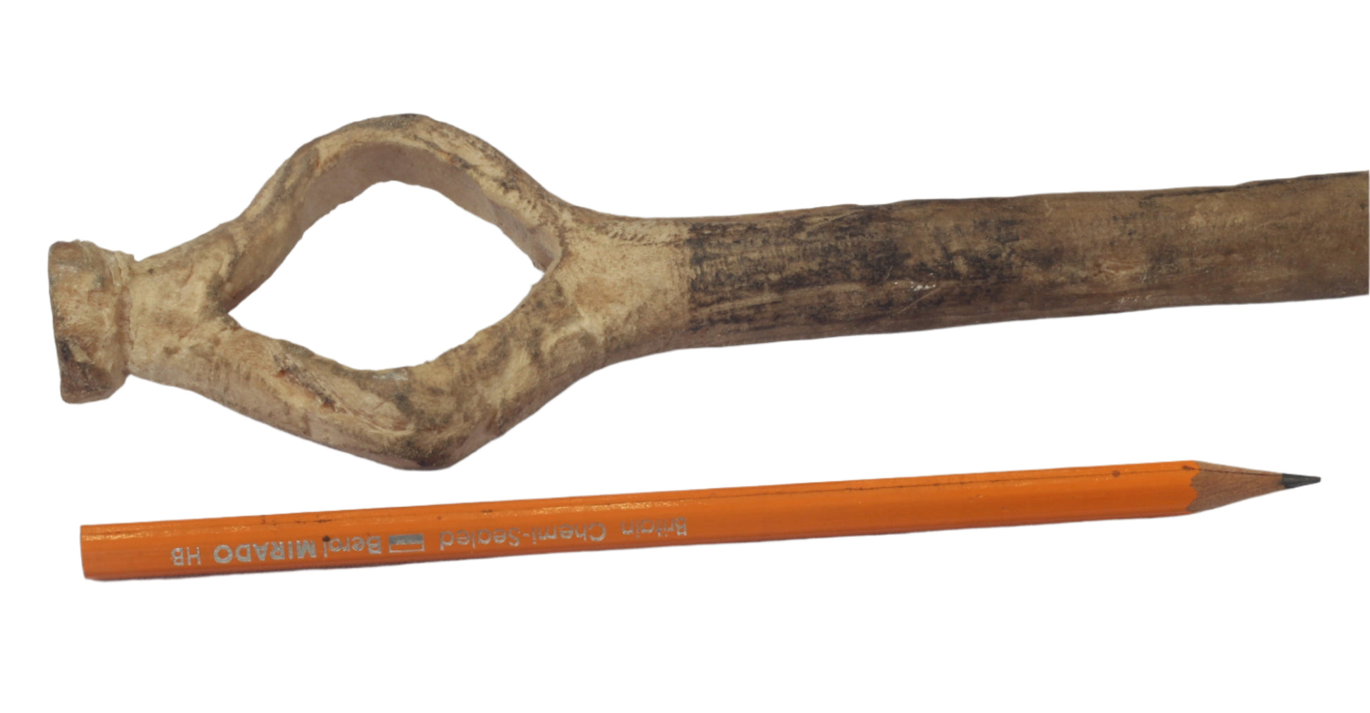 Vintage bull pizzle whip