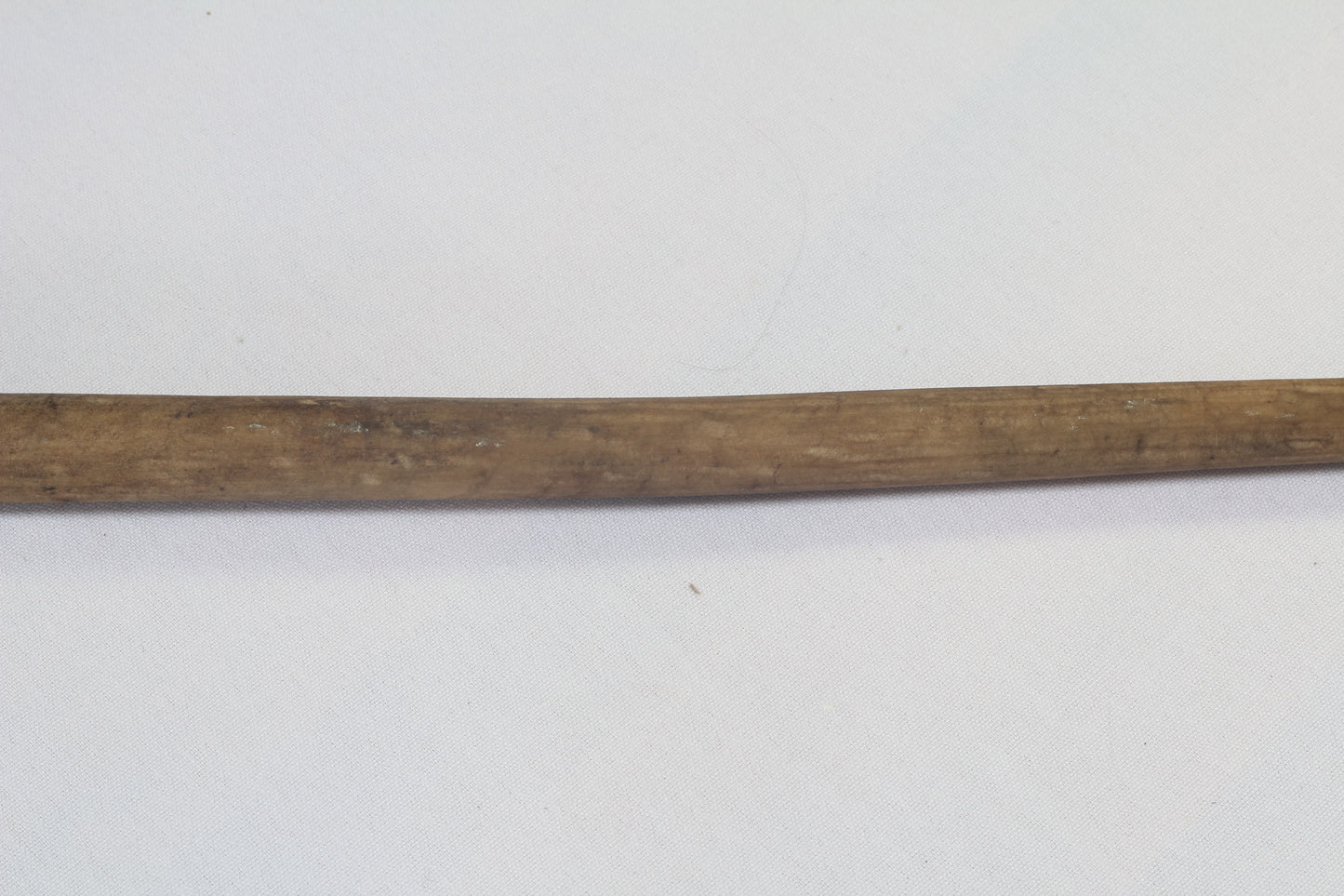 Antique or Vintage Pizzle Whip - w1785