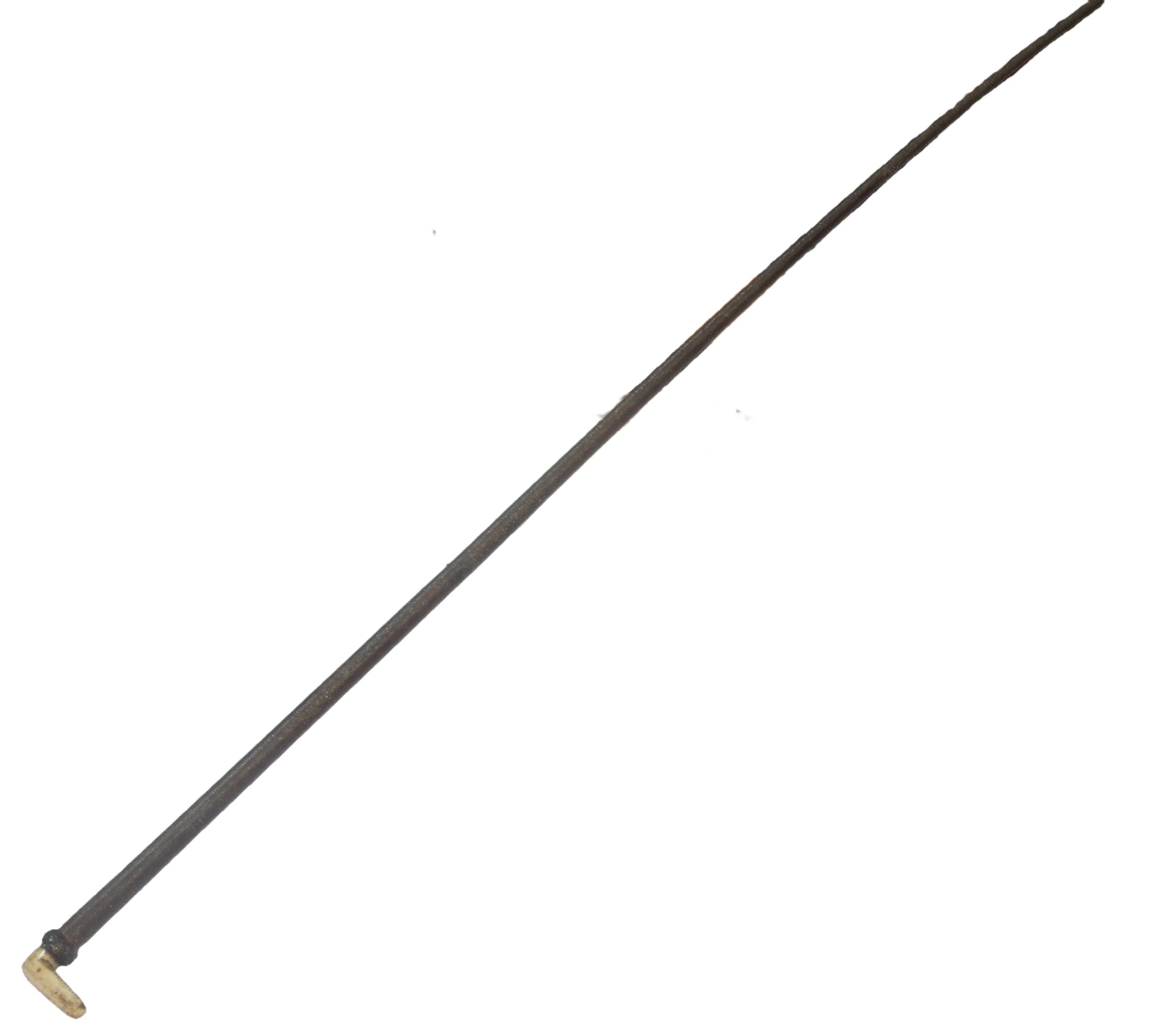 19th Century Sidesaddle Riding Whip with Bone Handle