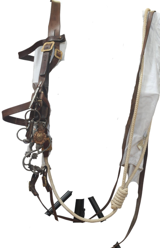 Edwardian General's bridle