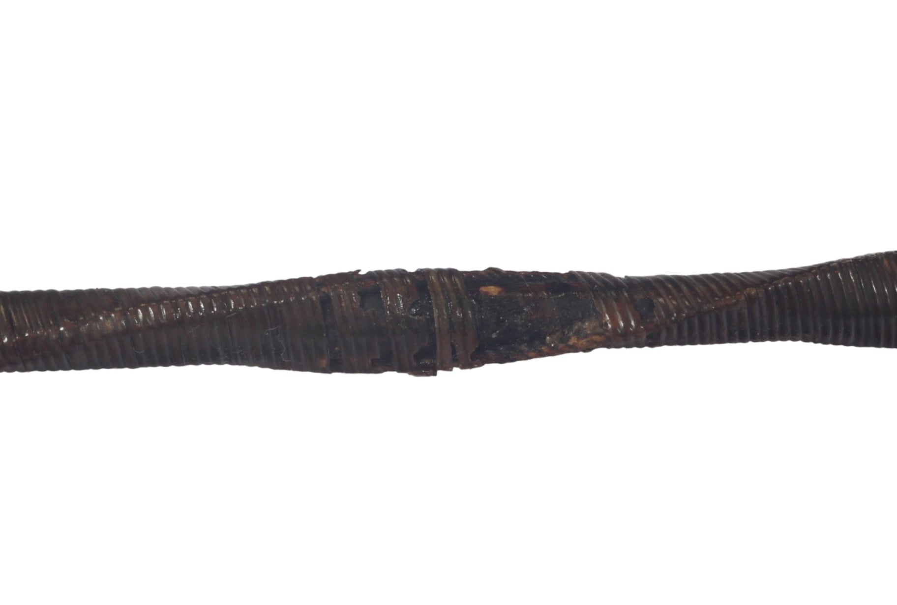 Antique Twisted Whalebone Ladies Riding Whip or Crop
