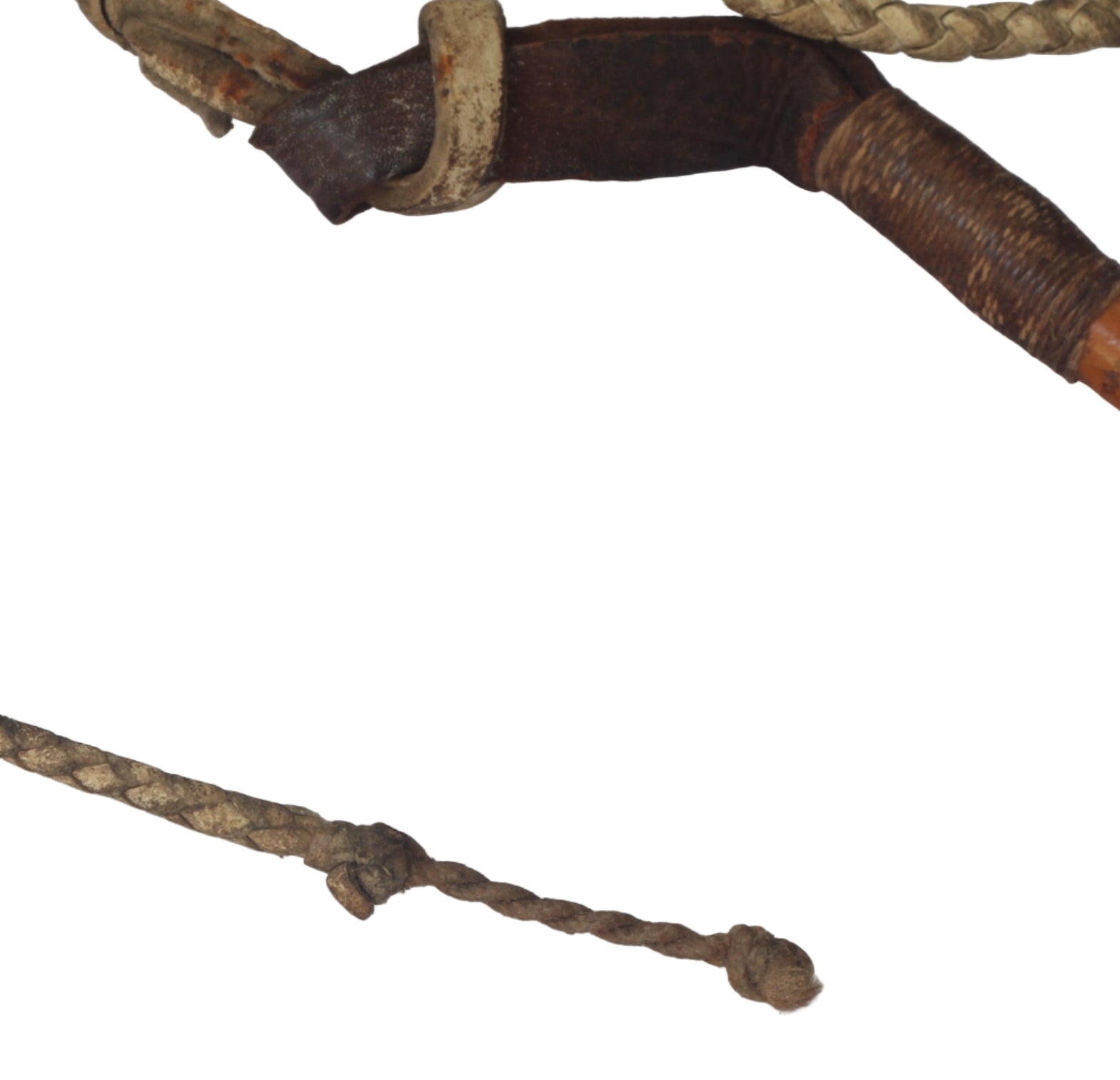 Vintage Slim Malacca Beagling or Dog Whip with Whistle