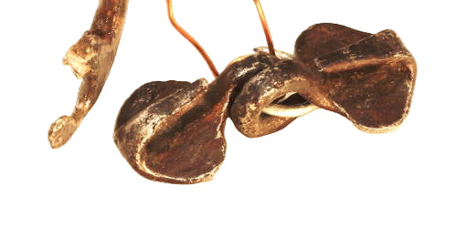 A 14th Century Rowel Spur