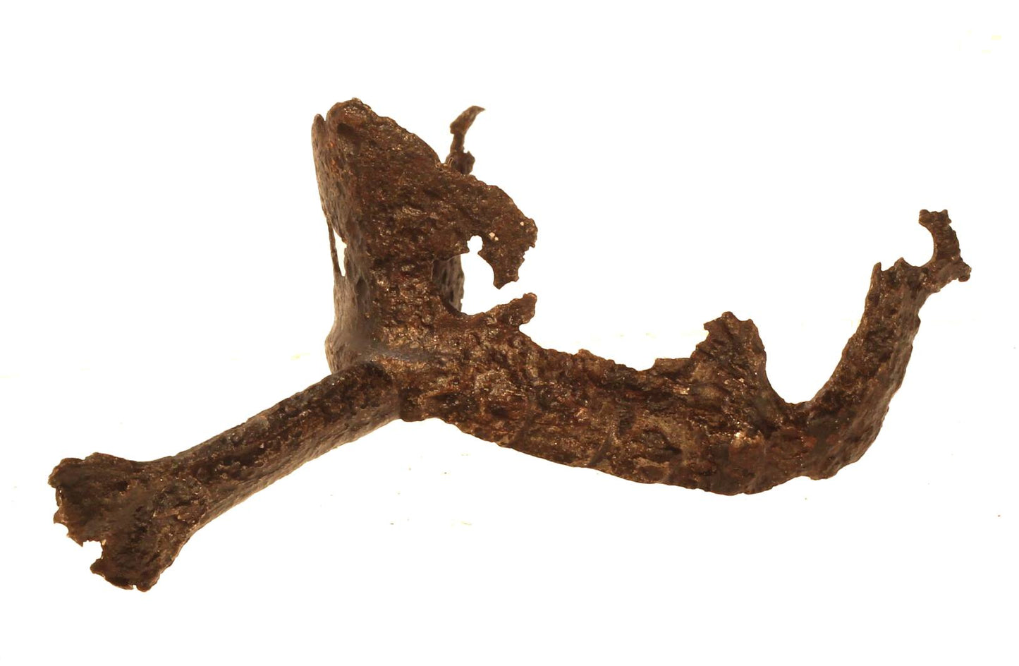 A Medieval 15th Century Spur