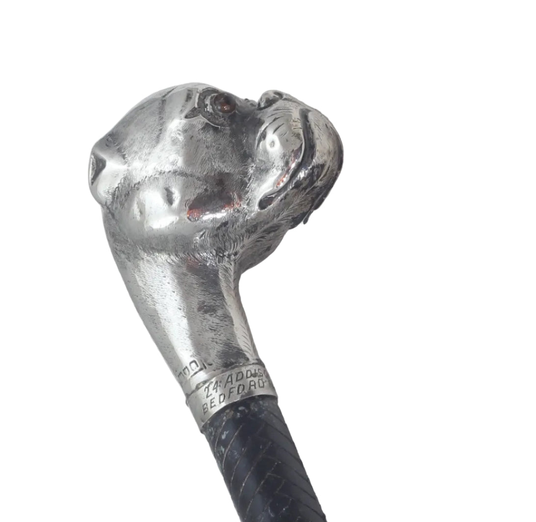 Park or Cutting Whip with Silver Boxer Dog Handle, 1908