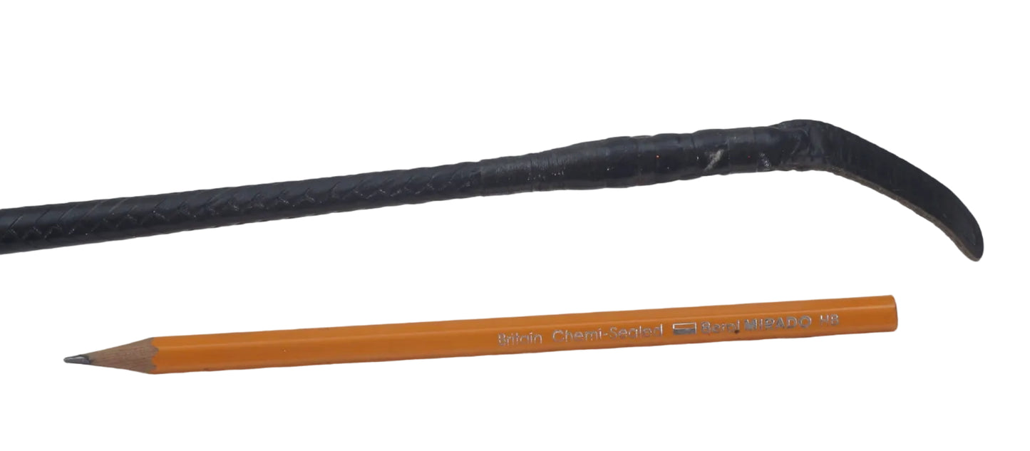 Park or Cutting Whip with Silver Boxer Dog Handle, 1908