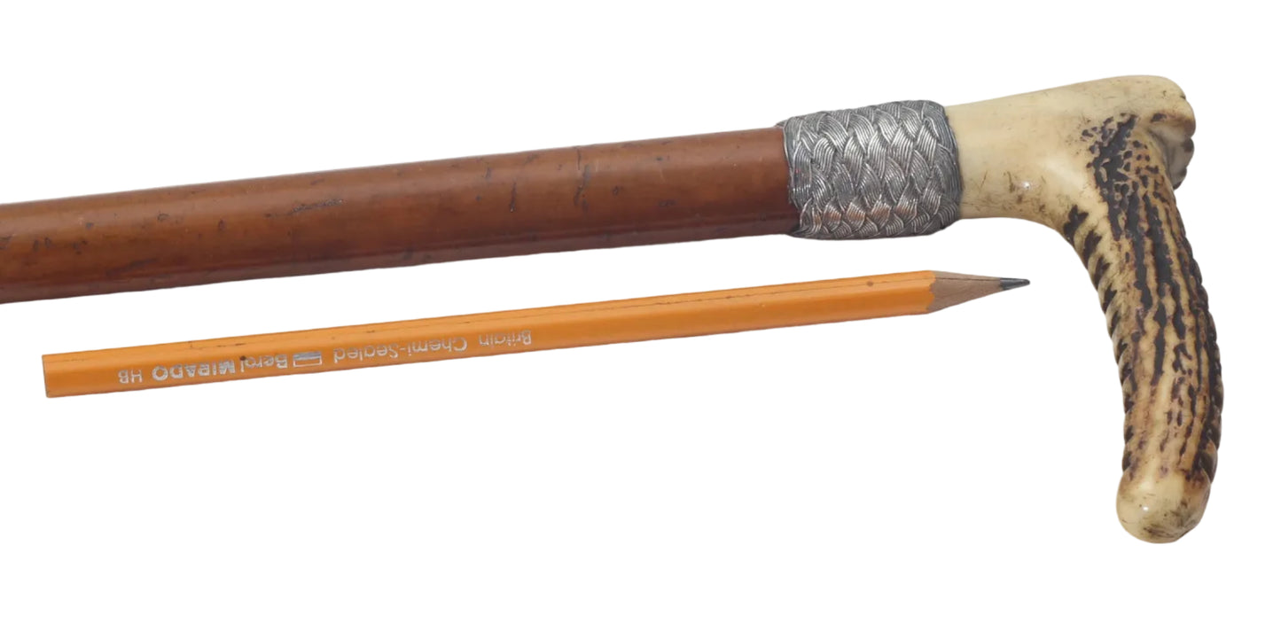 Antique Long Malacca Hunting Whip with Braided Silver Collar