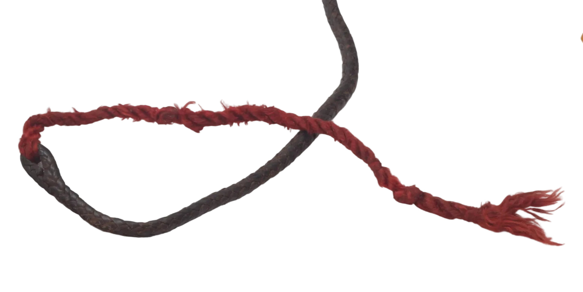 Antique Long Malacca Hunting Whip with Braided Silver Collar