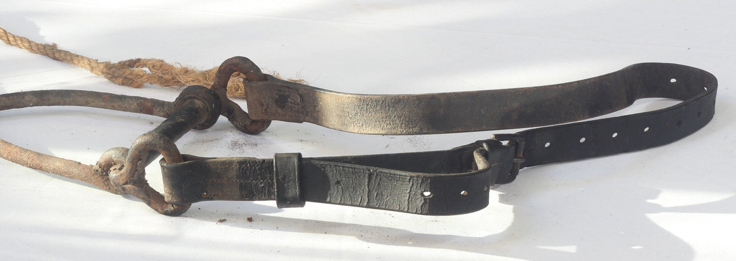 An Antique Hand Forged In-Hand Heavy Horse Bit